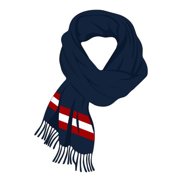 Scarf with Red Stripes