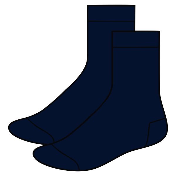 Navy Anklet socks